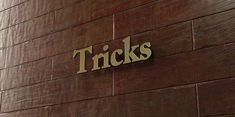 Tricks - Bronze plaque mounted on maple wood wall  - 3D rendered royalty free stock picture. This image can be used for an online website banner ad or a print postcard.