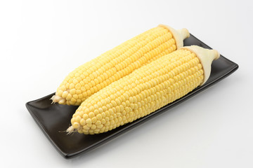 Corn isolated on a white background