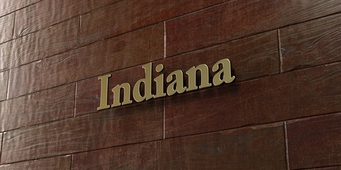 Indiana - Bronze plaque mounted on maple wood wall  - 3D rendered royalty free stock picture. This image can be used for an online website banner ad or a print postcard.