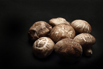 The Many Shitake Mushroom on black background