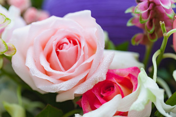 Closeup roses bouquet