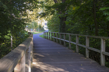 Wooden bridge in the park.