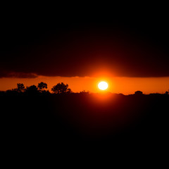 Panorama of Amazing Beautiful Sunset Sunrise Over Dark Landscape Silhouette