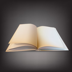 open book vector