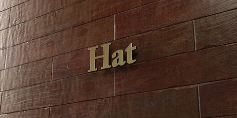Hat - Bronze plaque mounted on maple wood wall  - 3D rendered royalty free stock picture. This image can be used for an online website banner ad or a print postcard.