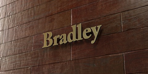 Bradley - Bronze plaque mounted on maple wood wall  - 3D rendered royalty free stock picture. This image can be used for an online website banner ad or a print postcard.