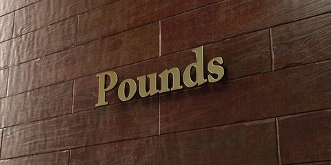 Pounds - Bronze plaque mounted on maple wood wall  - 3D rendered royalty free stock picture. This image can be used for an online website banner ad or a print postcard.