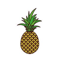 Delicious pineapple fruit icon vector illustration design
