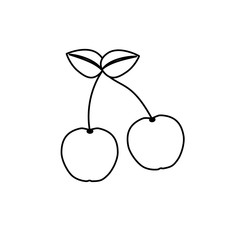 Delicious cherry fruit icon vector illustration design