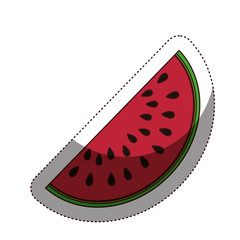 Delicious watermelon fruit icon vector illustration design