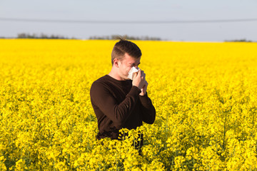 man in yellow canola field blowing his nose and suffering from pollen allergy.