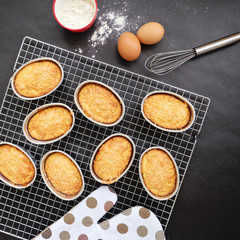 Fresh baked homemade cheese sponge cake and eggs