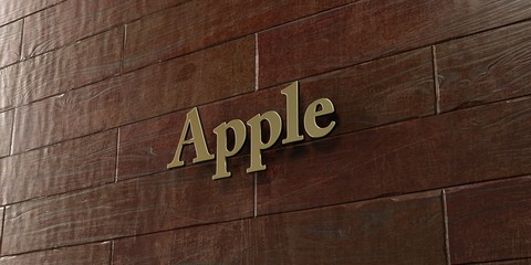 Apple - Bronze plaque mounted on maple wood wall  - 3D rendered royalty free stock picture. This image can be used for an online website banner ad or a print postcard.