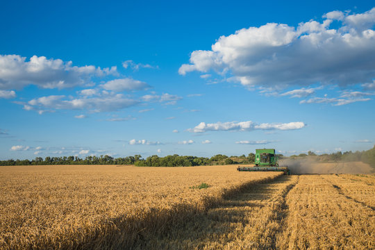 Harvesting combine in the field