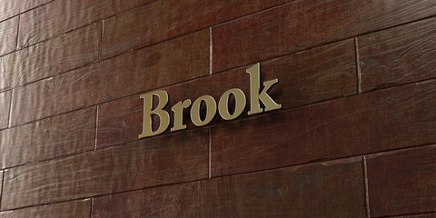 Brook - Bronze plaque mounted on maple wood wall  - 3D rendered royalty free stock picture. This image can be used for an online website banner ad or a print postcard.
