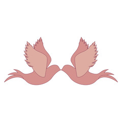 delicate doves icon image vector illustration design 