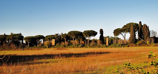 Fototapeta na wymiar Appia Antica