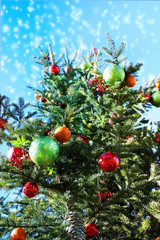 Fototapeta na wymiar Christmas tree in snow falling, angle of elevation with blue sky
