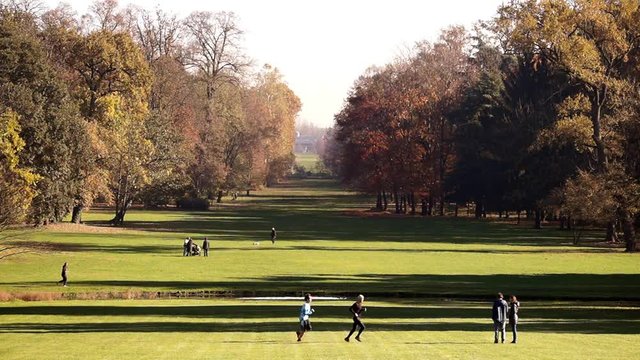 Persone che passeggiano e corrono nel Parco di Monza
