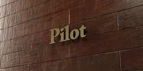 Pilot - Bronze plaque mounted on maple wood wall  - 3D rendered royalty free stock picture. This image can be used for an online website banner ad or a print postcard.