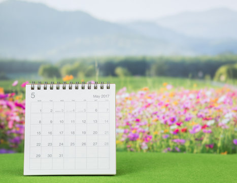 Year 2017 calendar with flower field background
