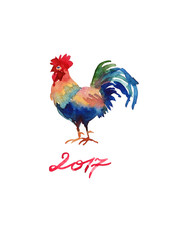 Chinese symbol of New 2017 - cock. Watercolor illustration
