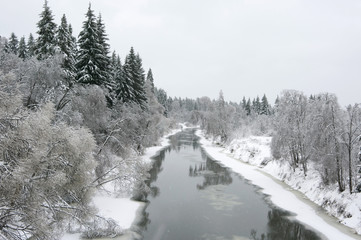 River in winter forest