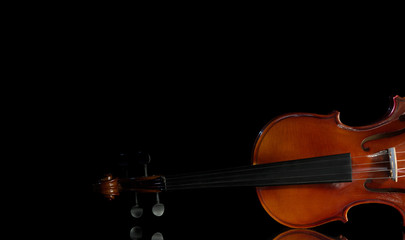  Violin and rose, Violin orchestra musical instruments
