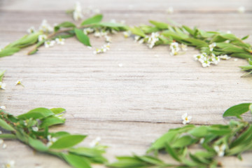 Fresh green leaves and white flowers on the wooden background.Sp