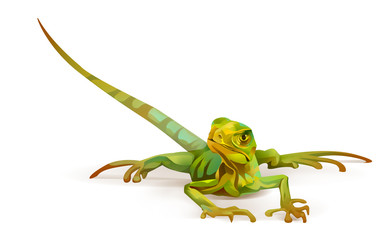 Fototapeta premium Bright painted lizard on a white background