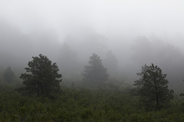 Storm Clouds Receding from Pikes Peak