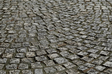 Wet cobblestone pavement after the rain.