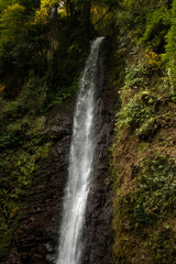 Fototapeta premium Water Falling at Yoro Waterfall in Gifu, Japan, November, 2016