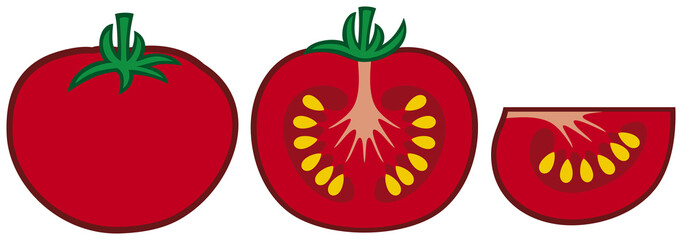 tomato (segment and a slice)