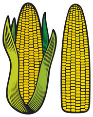 corn (corncob with green leaves)