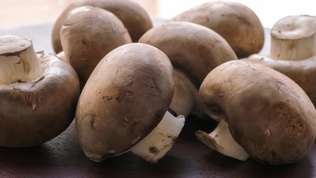 Raw mushrooms / Champignons on rotating plate