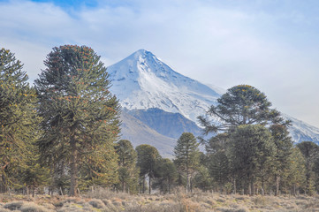 Volcano Lanin, Argentina