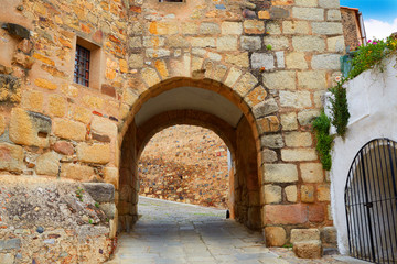 Obraz premium River door Arco del Cristo in Caceres of Spain