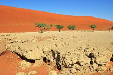 Deadvlei, Sossusvlei. Namibia