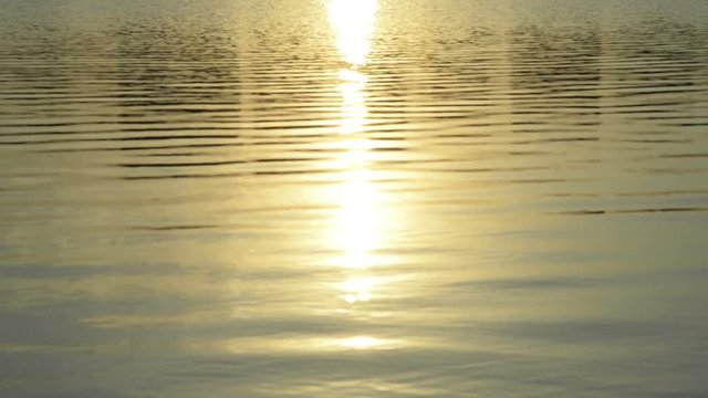 Waves on the sun