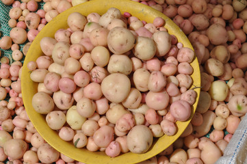 Peruvian andean potatoes.