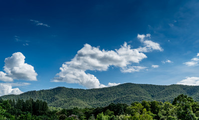 Obraz premium White cloud with Blue sky