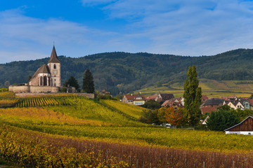 Fototapeta na wymiar Hunawihr, Alsace Vineyard, France