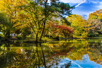 Fototapeta na wymiar The pond and autumn leaves and trees in Arisugawa Park.The shooting location is Arisugawa Park in Minami Azabu, Minato-ku, Tokyo, Japan.
