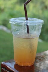 Lemon tea cold in glass with nature.