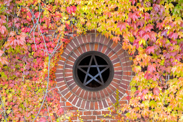 赤レンガとツタの壁 / 秋の風景