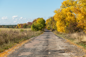 Fall rural landscape with trees turned into yellow during sunny autumn weather with cloudy sky.