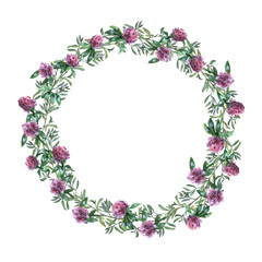 Wreath border frame with summer herbs, meadow flowers. Watercolor hand painting illustration on isolate white background.