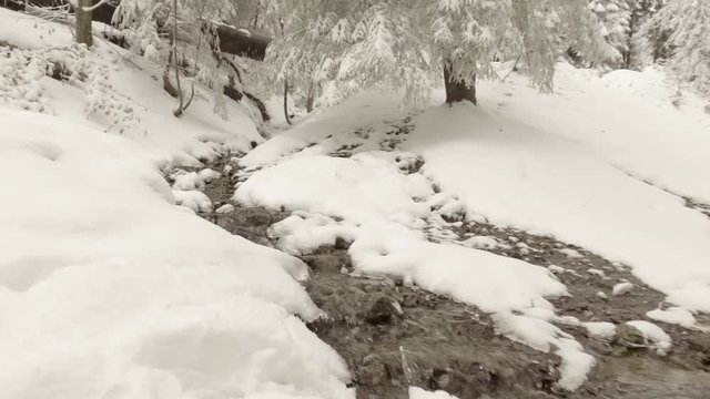stream through snow in winter forest

