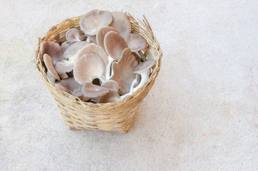 Organic mushrooms in wooden basket